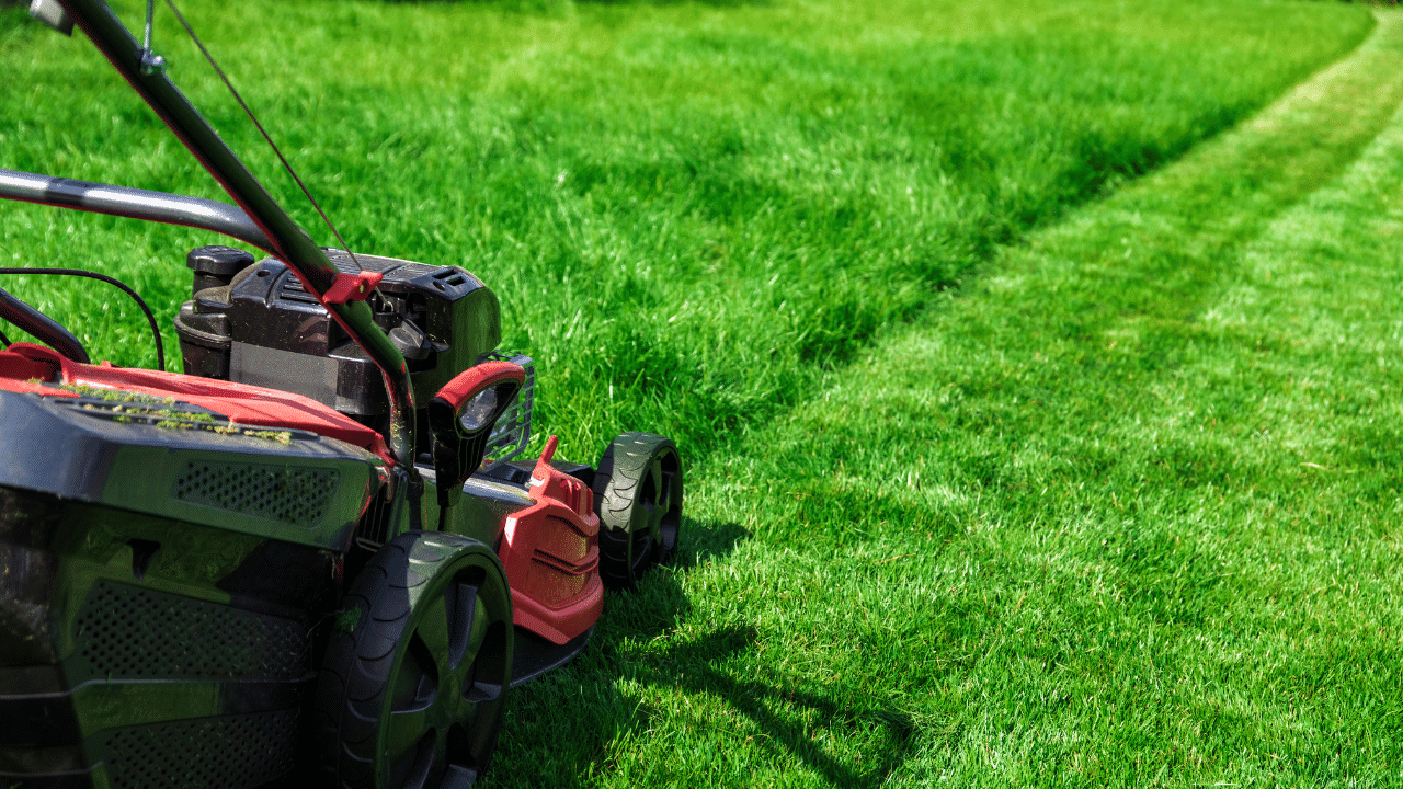 Mowing grass - Mountain Side Lawn Care